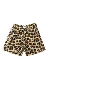 Boxer Wild